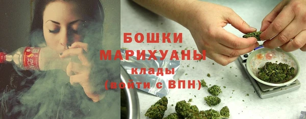 гашик Осташков