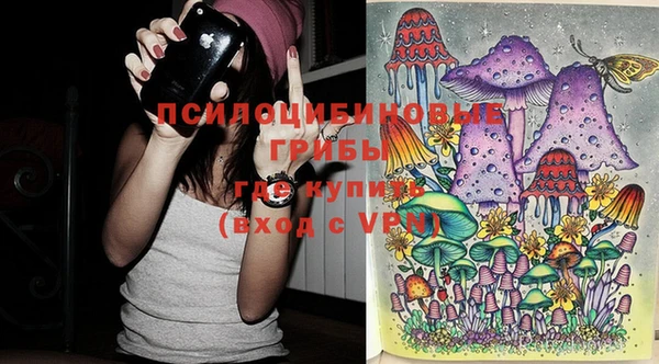 героин Няндома