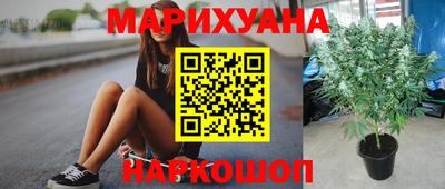 spice Гусиноозёрск