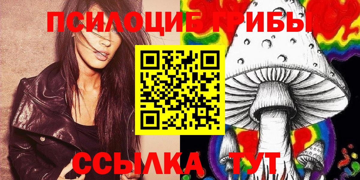 Псилоцибиновые грибы Cubensis Нальчик